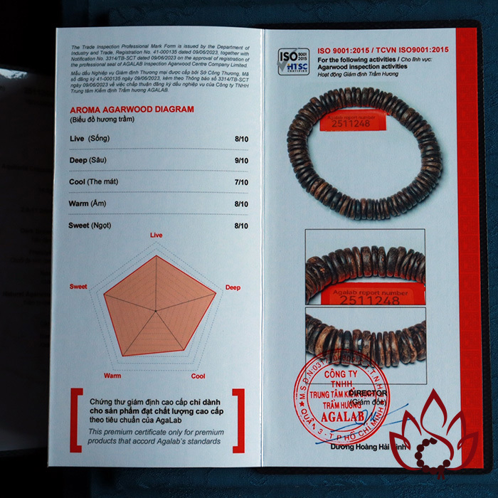 Vòng Trầm Hương Hạt Dẹp | 11 Ly | Trầm Bì Rễ Cận Chìm